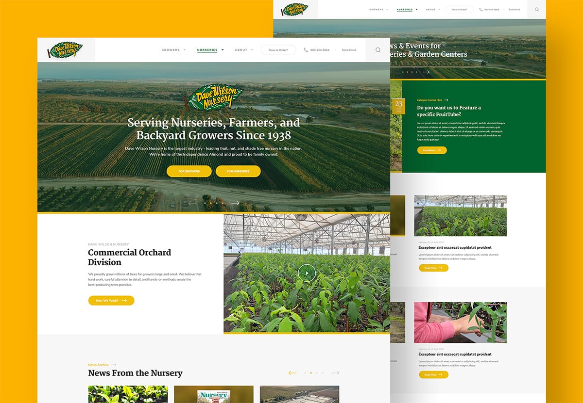 dwn case study dwn case study